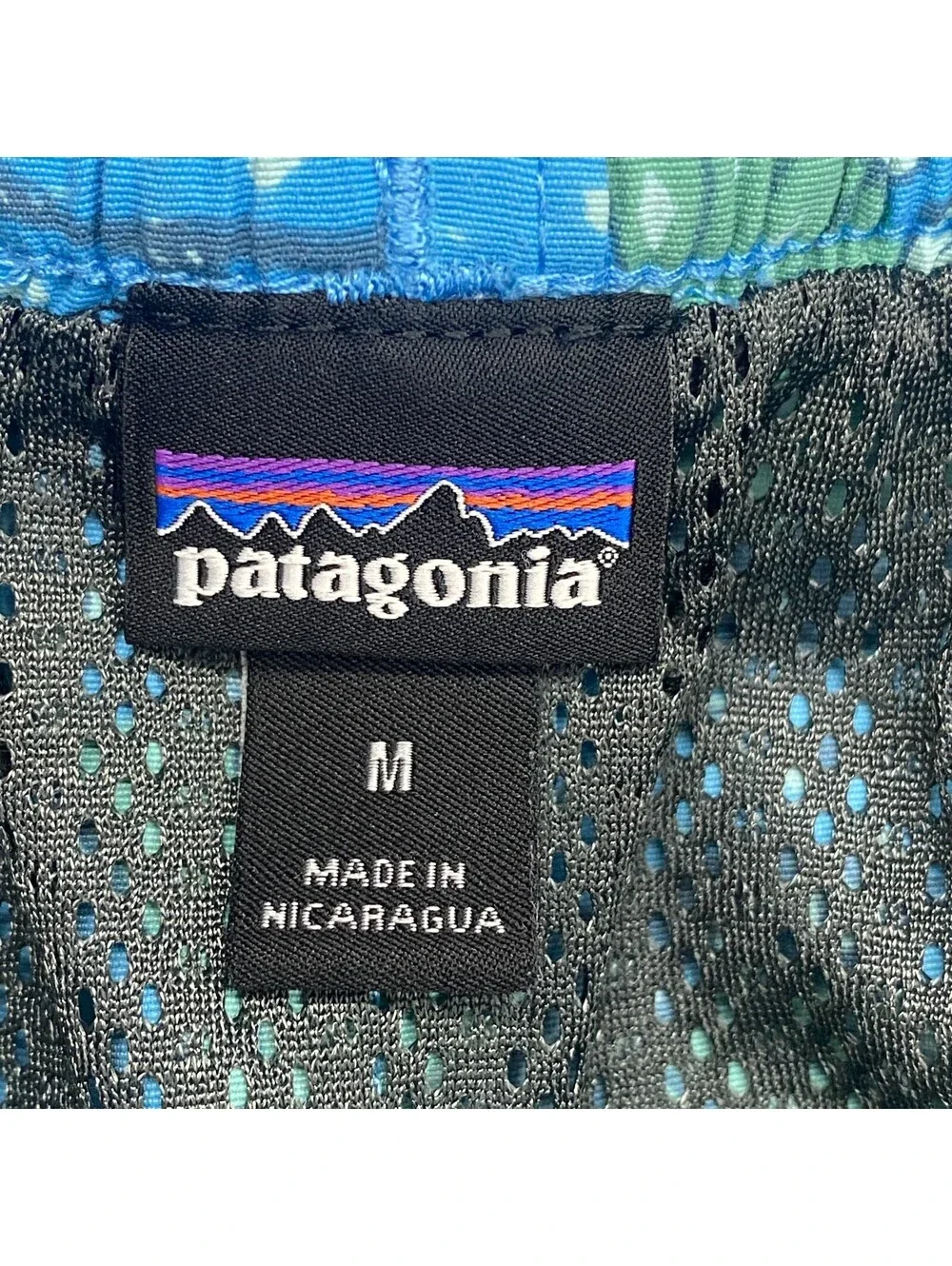 Patagonia baggies shorts